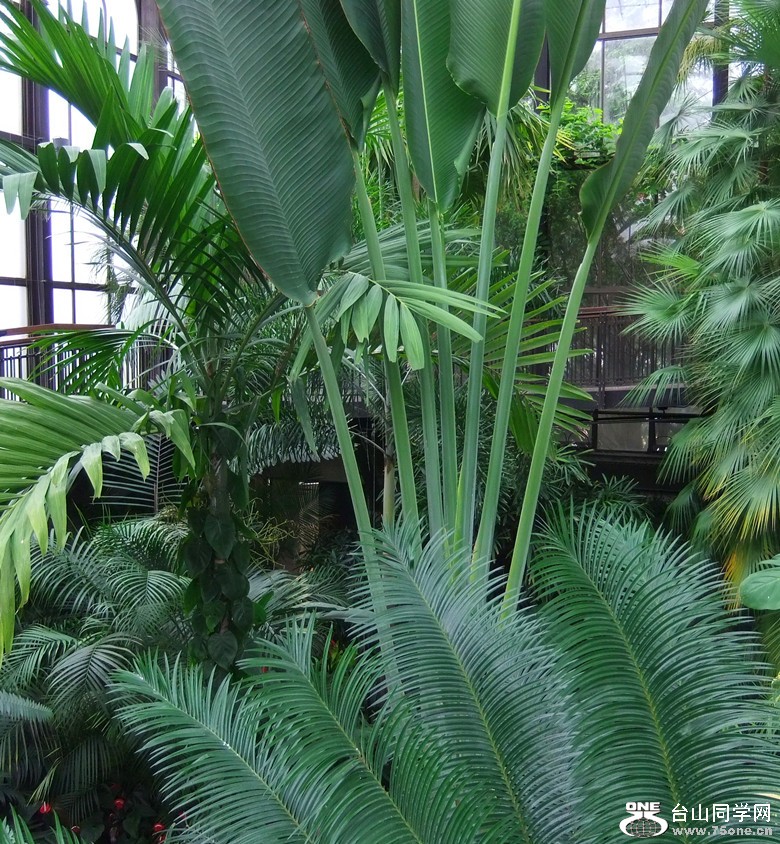 DSCF2511_.jpg