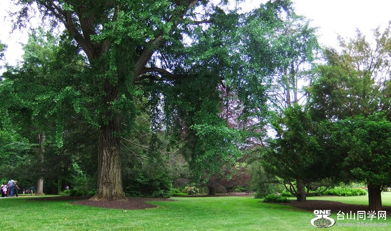 DSCF2460_.jpg