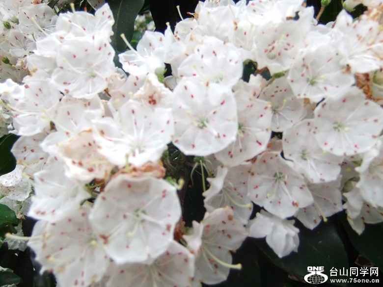 DSCF2457_.jpg