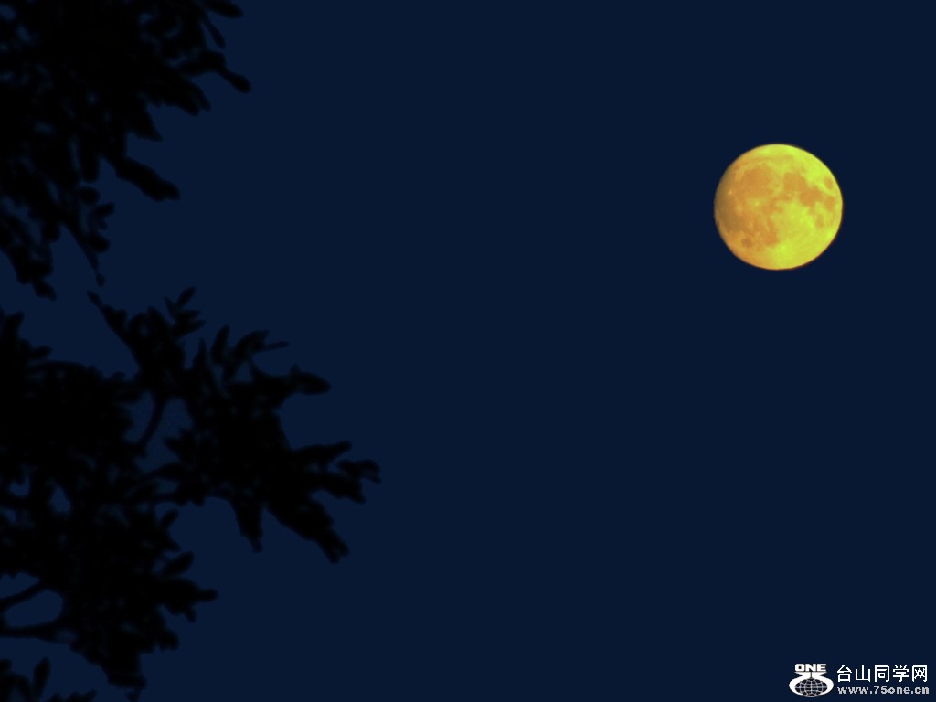 moonlight-6[1].jpg