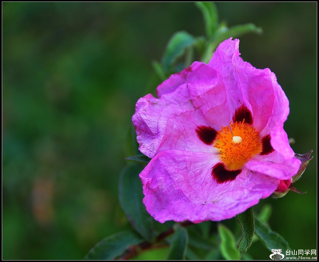 DSC_8369.jpg