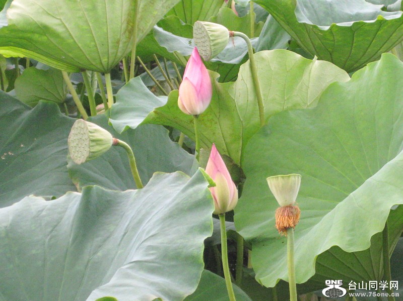 IMG_0982_副本.jpg