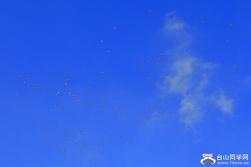 _DSC0207 [800x600].jpg