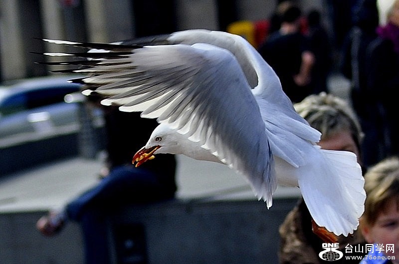 _DSC0647 [800x600].jpg