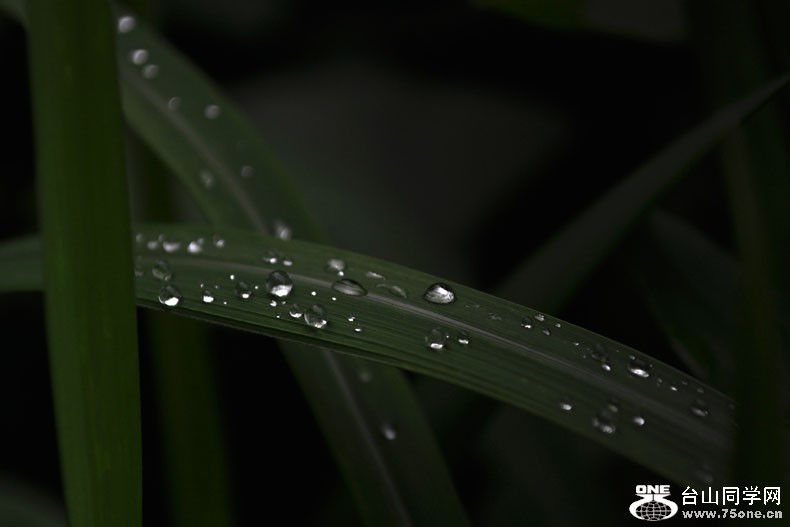 DSC_0695.jpg