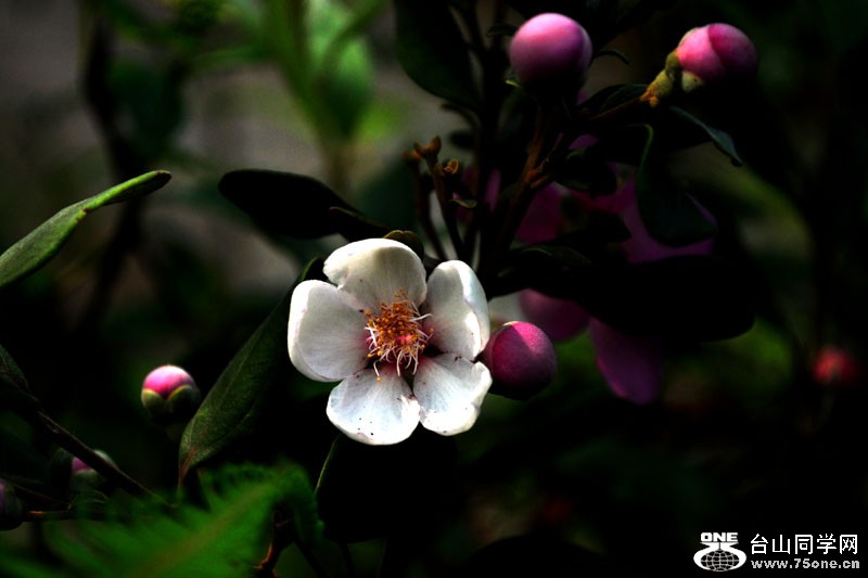 DSC_1569.jpg