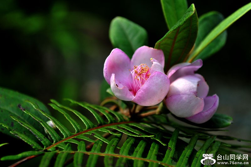 DSC_1564.jpg