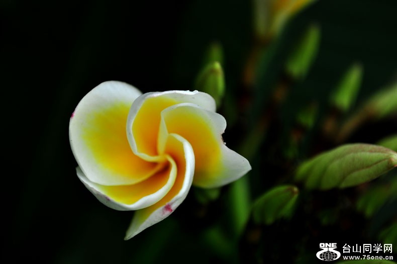 DSC_1423.jpg