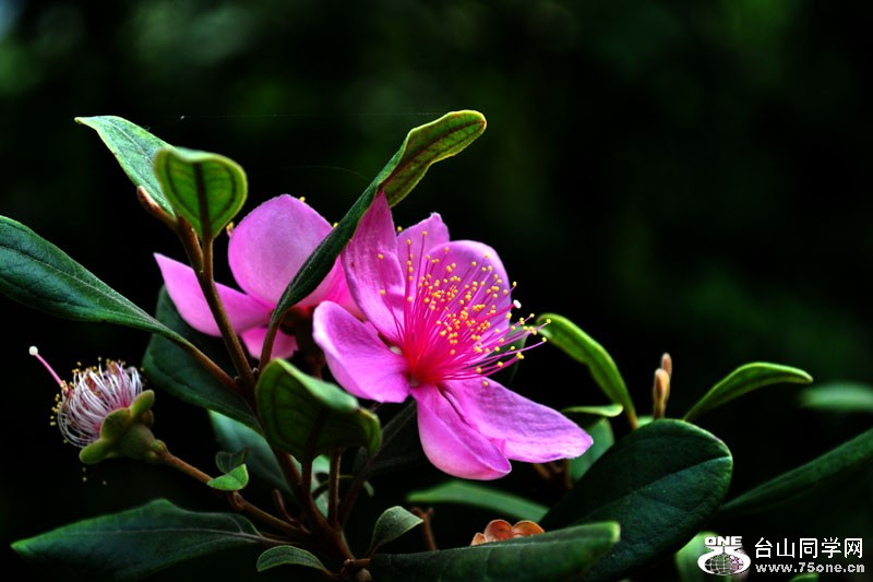 DSC_1555.jpg