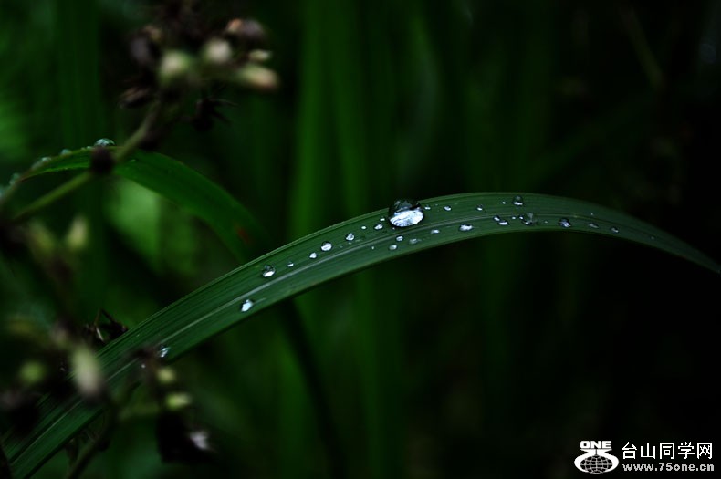 DSC_0690.jpg