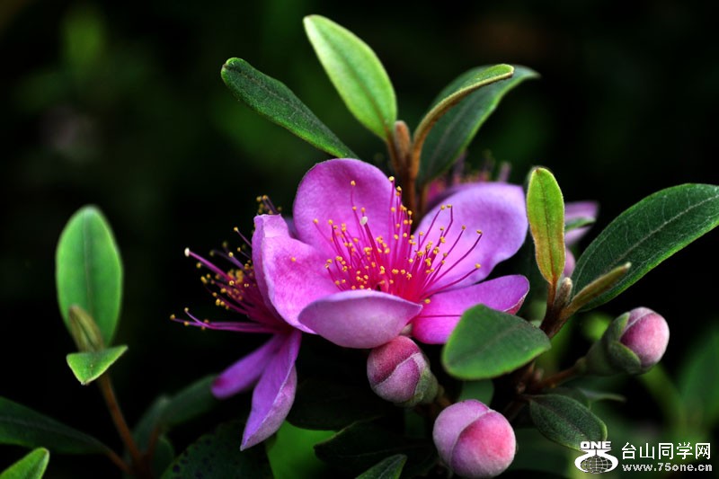 DSC_1562.jpg
