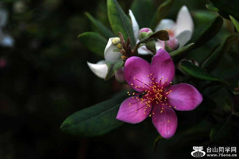 DSC_1568.jpg