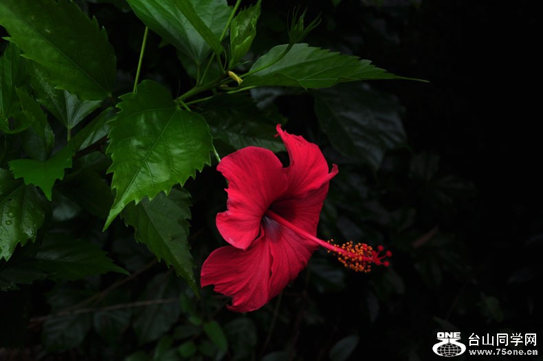 DSC_0664.jpg