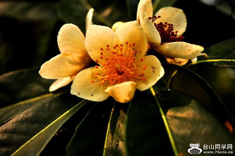 DSC_1576.jpg