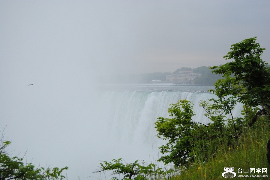 DSC_0418.JPG