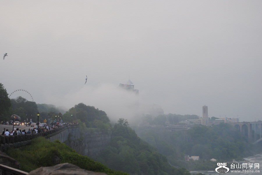 DSC_0271.JPG