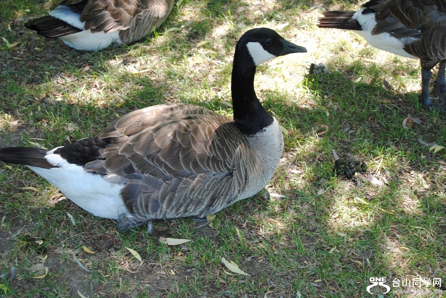 DSC_0012.JPG