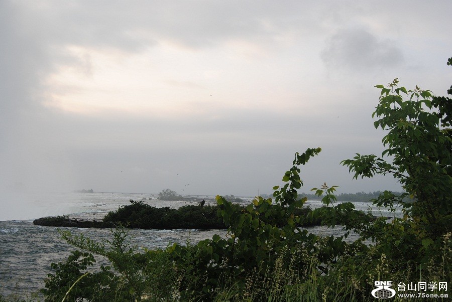 DSC_0443.JPG