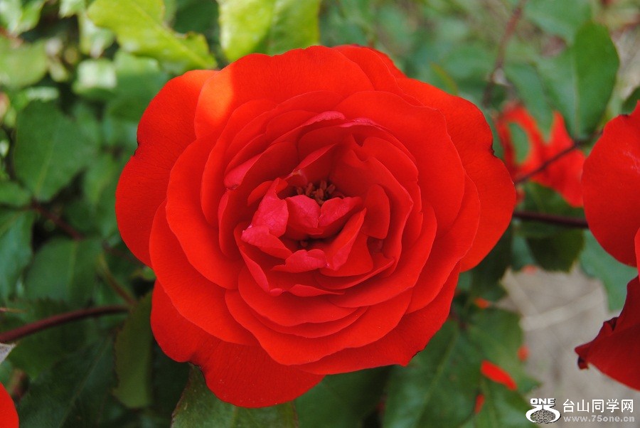 DSC_0486.JPG