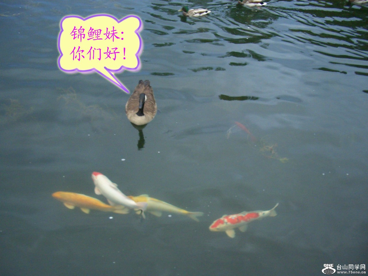 散步随拍 042_conew1.jpg