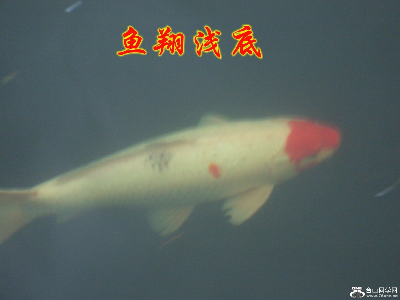 散步随拍 026_conew1.jpg