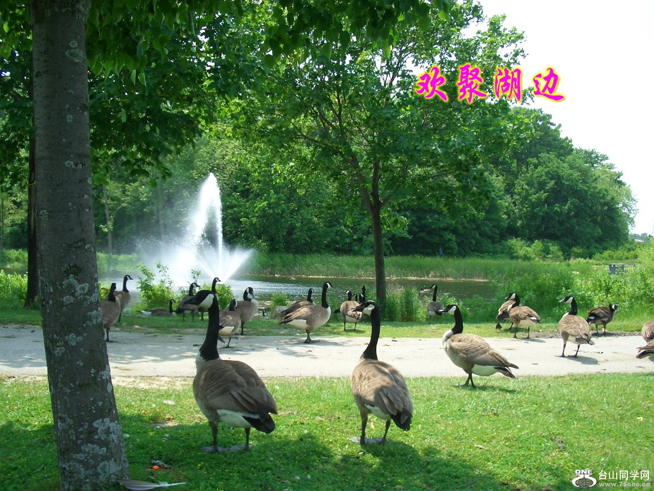 ԰ 055_conew1.jpg