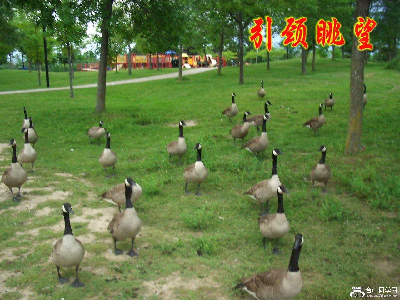 散步随拍 055_conew1.jpg