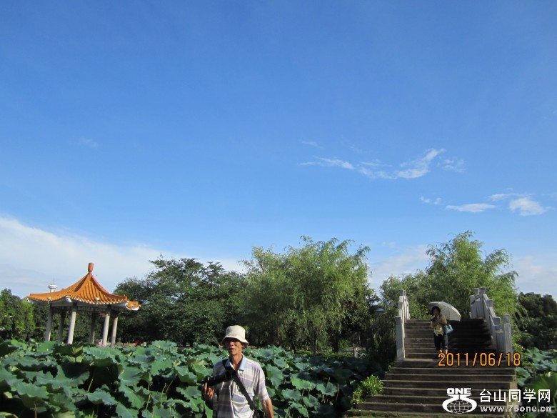 荷花3 395_conew1.jpg