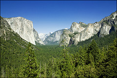 5397441183_1f7bd62dd3_m.jpg