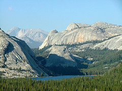 251928776_0c8eedad5a_m.jpg