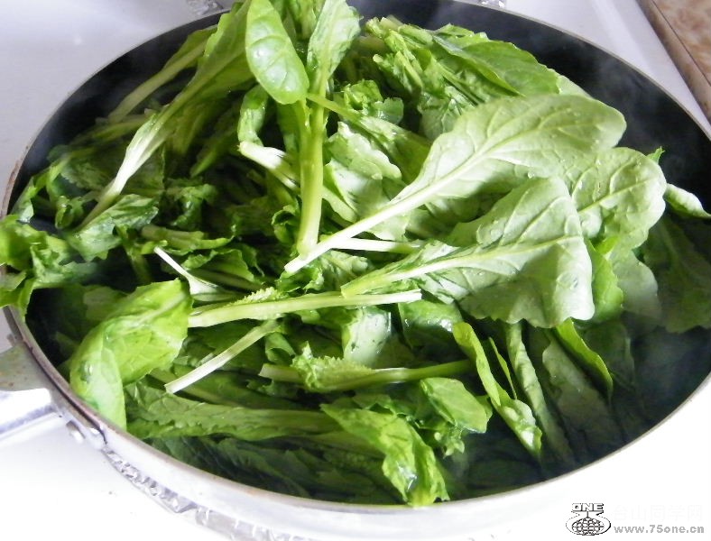 DSCF0378.JPG