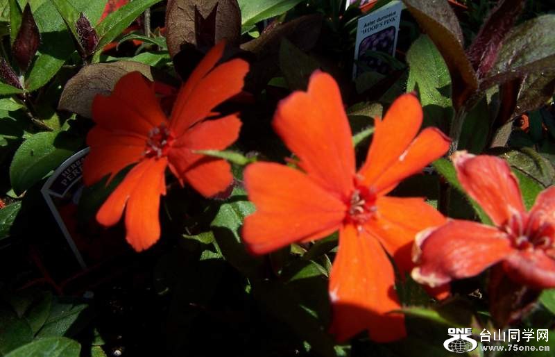 2010 080.jpg
