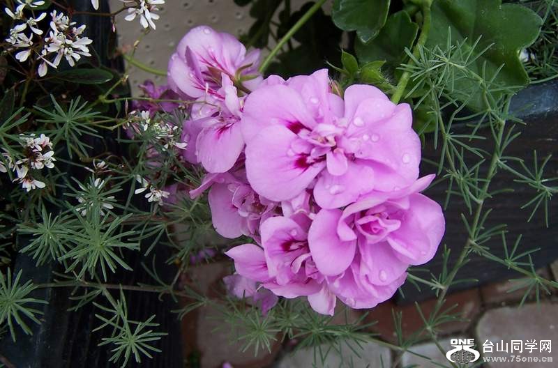 2010 086.jpg