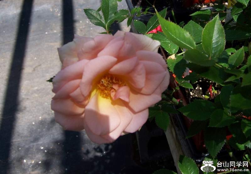 2010 077.jpg