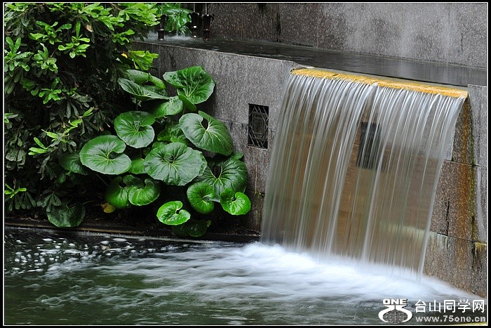 DSC_7958.JPG