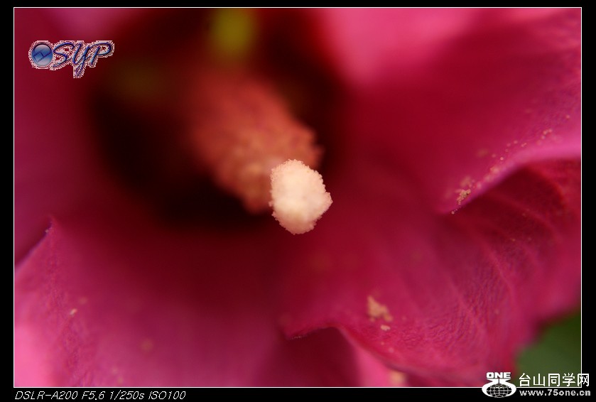 DSC00075a.jpg