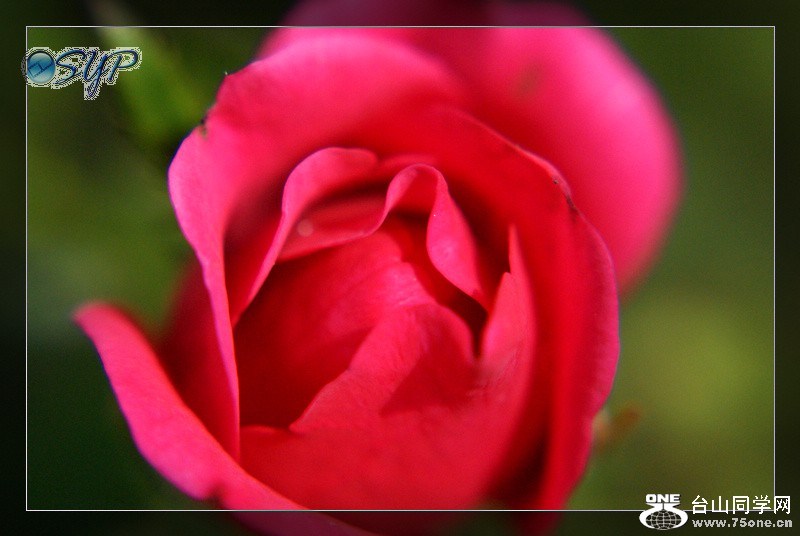DSC00075.jpg