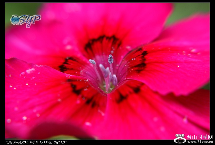 DSC00048a.jpg