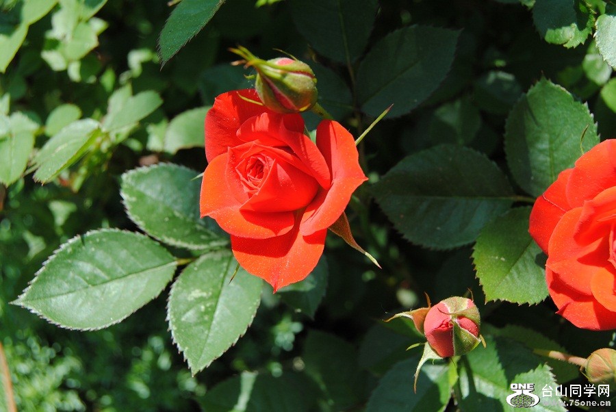 DSC_0020.JPG