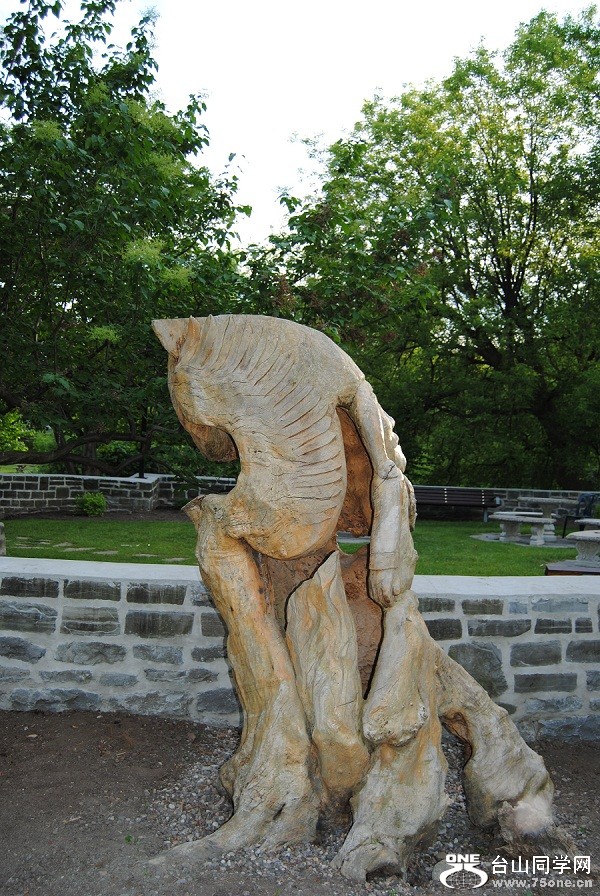 DSC_0059.JPG