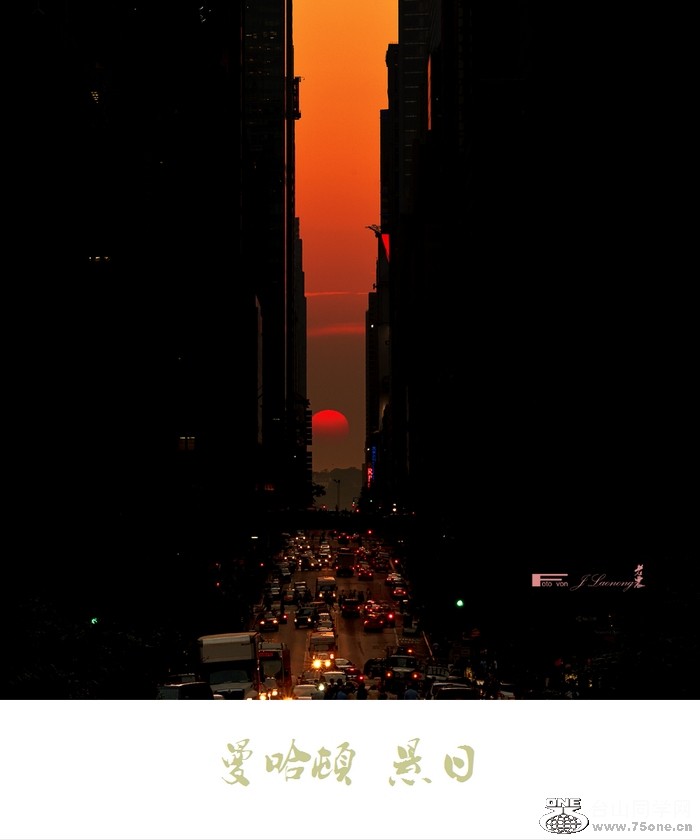 DSD_7306ANs.jpg