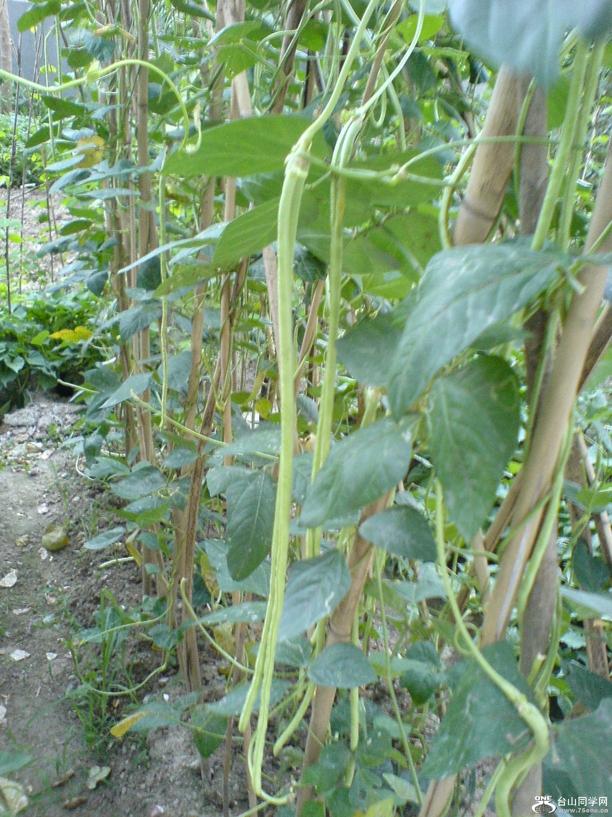 DSC05927.JPG
