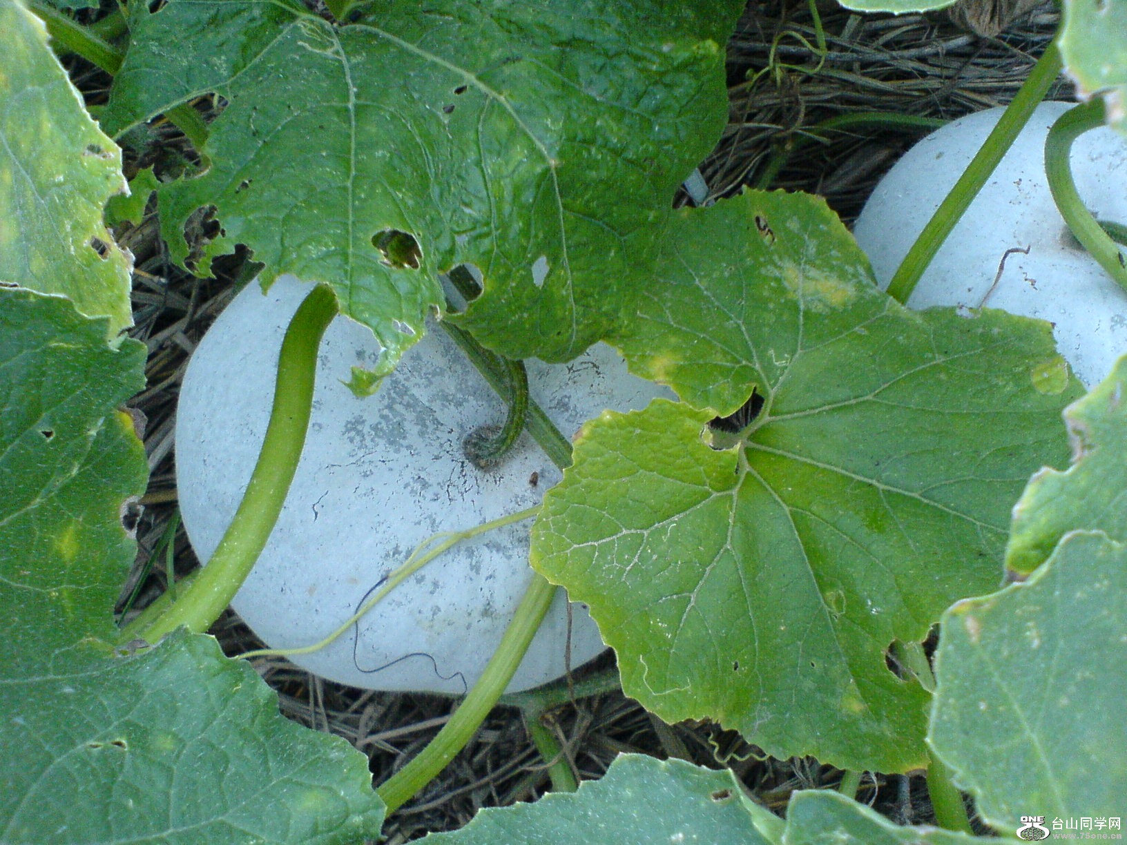 DSC05930.JPG