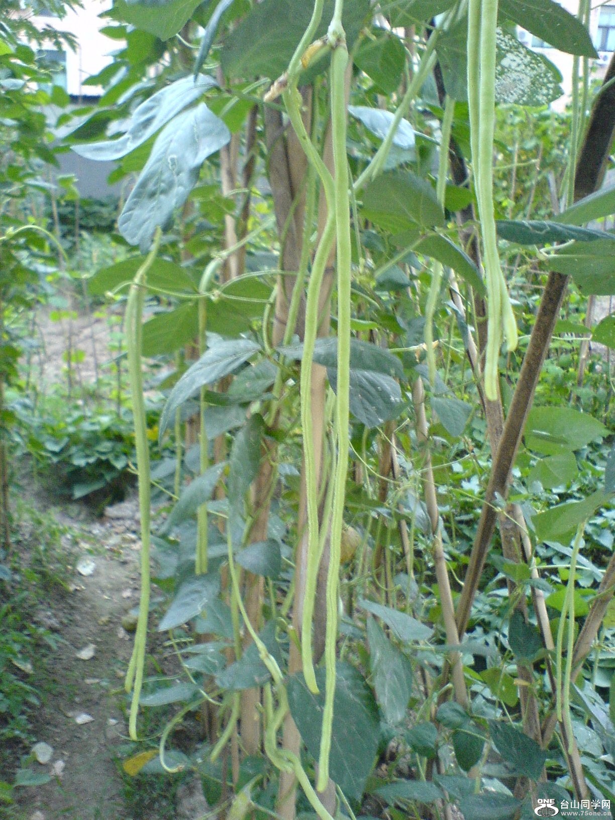 DSC05926.JPG