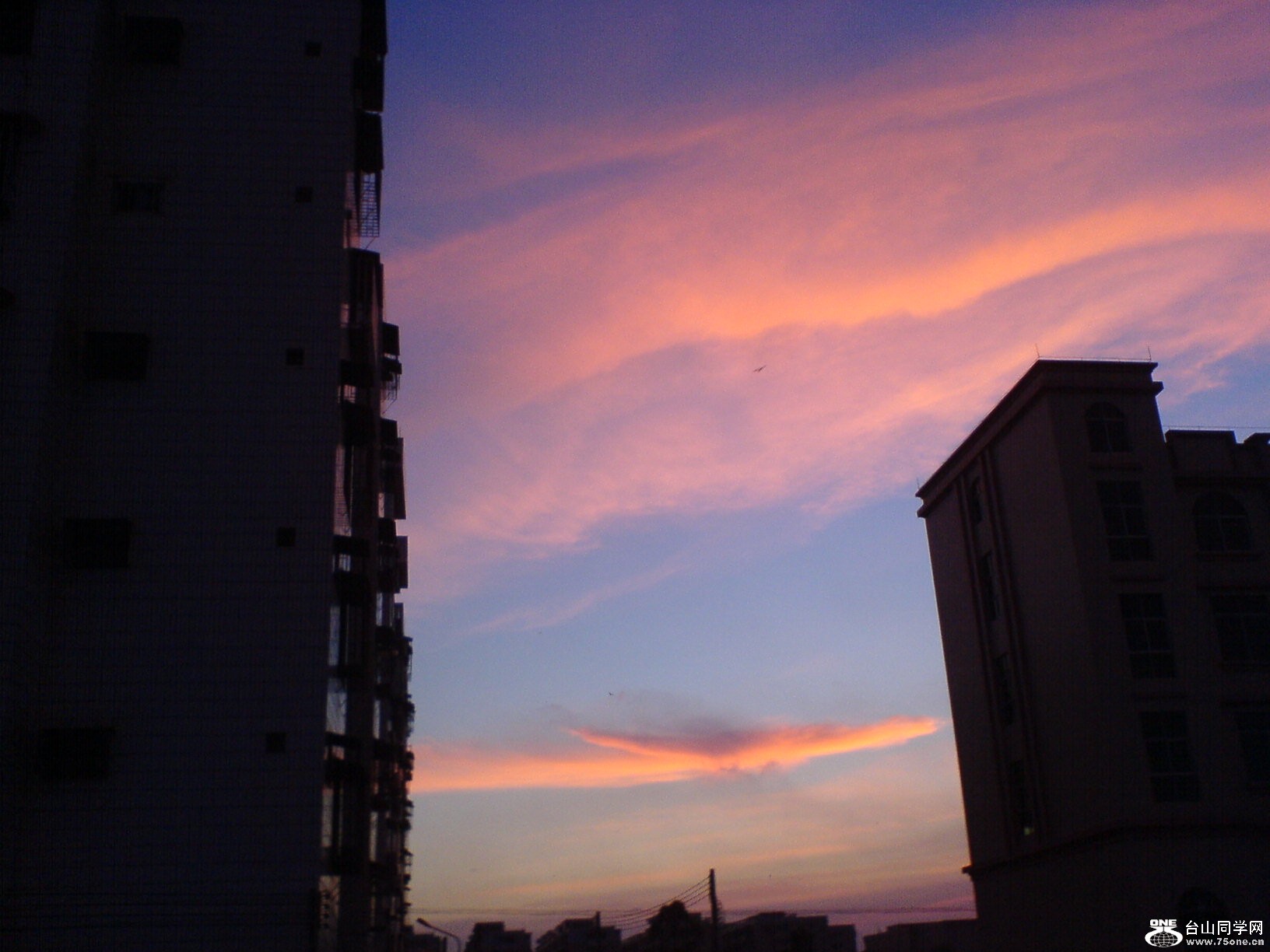 DSC05956.JPG