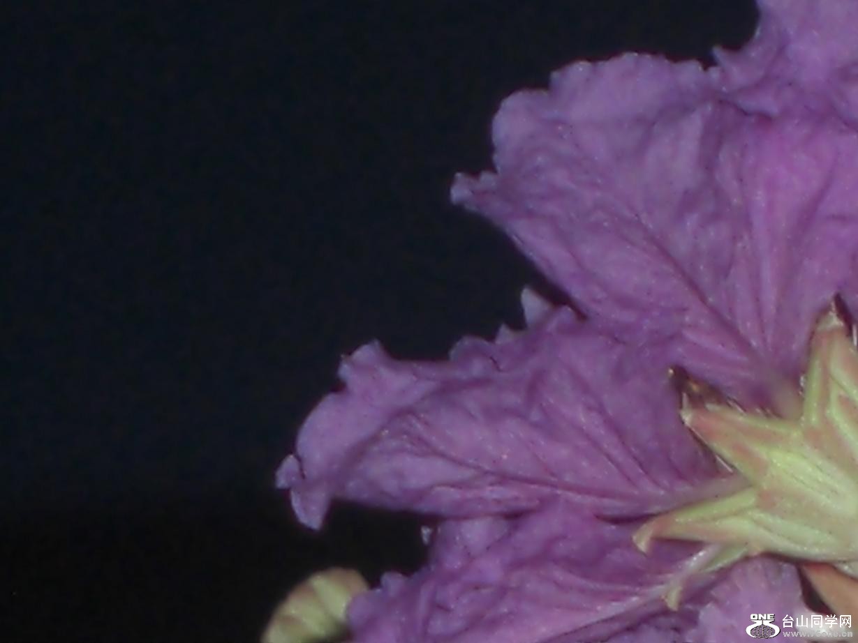 CIMG5659.JPG