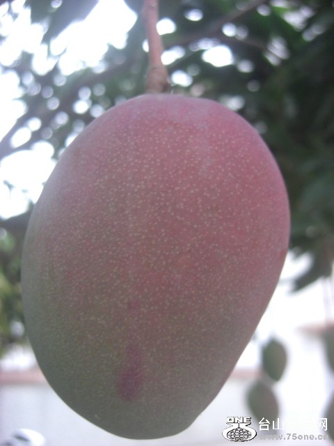 CIMG5829.JPG