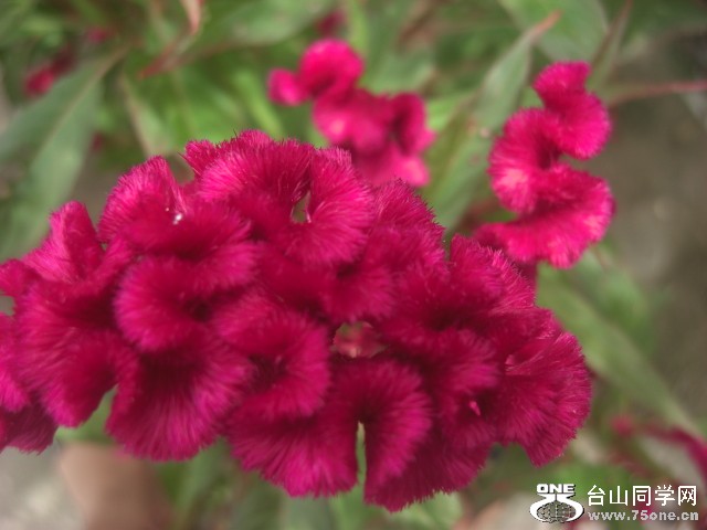 CIMG6014.JPG