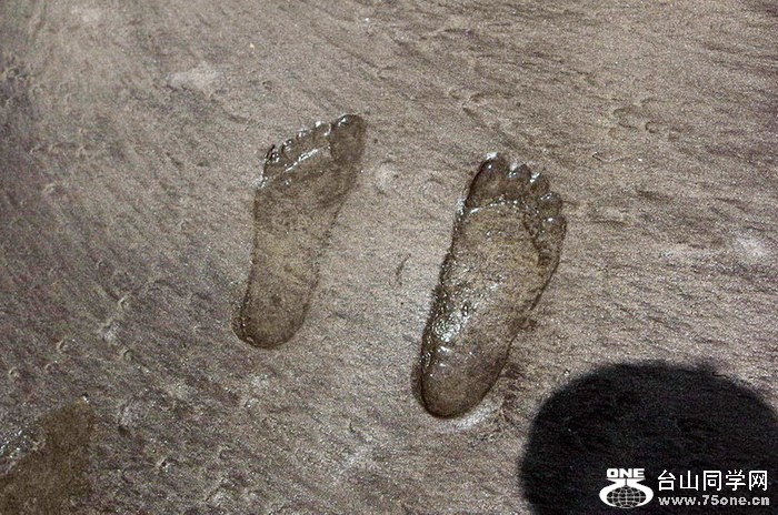 DSC_6677.jpg