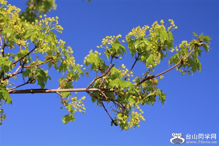 Picture 430 (Small).jpg